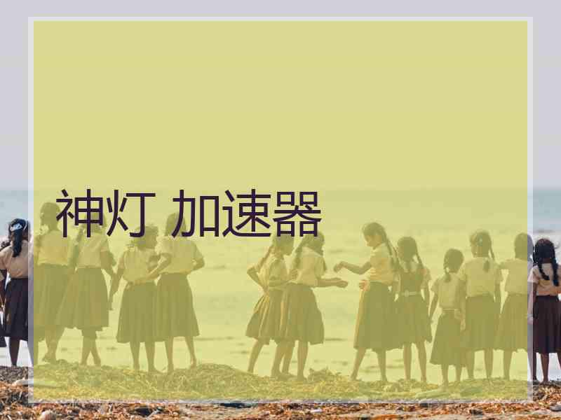 神灯 加速器