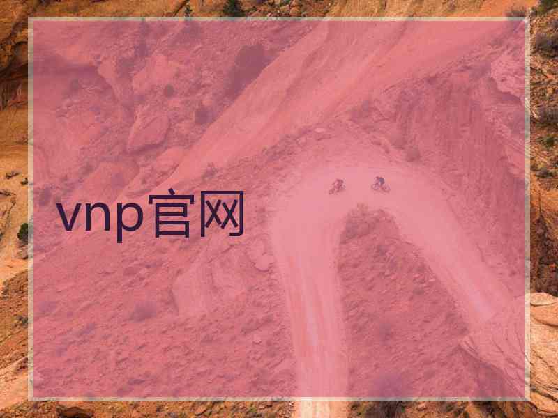 vnp官网