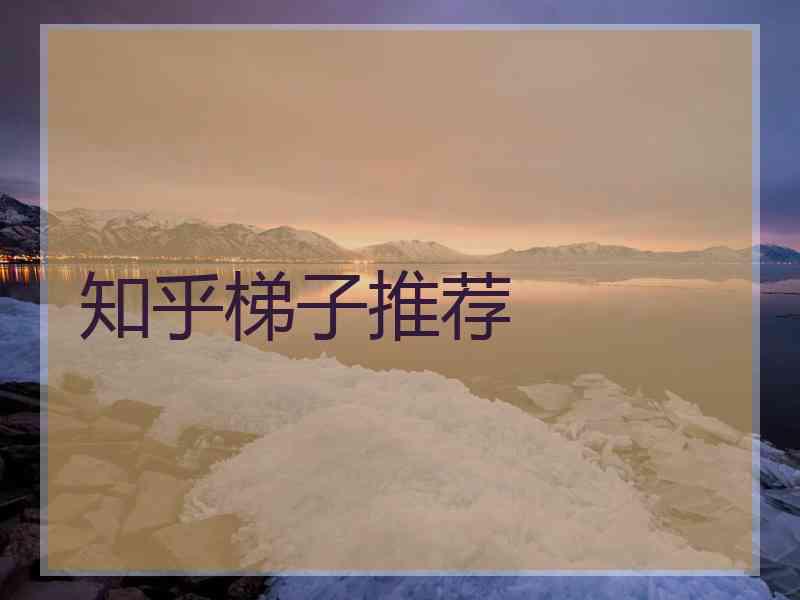 知乎梯子推荐