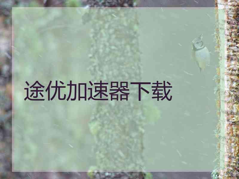途优加速器下载