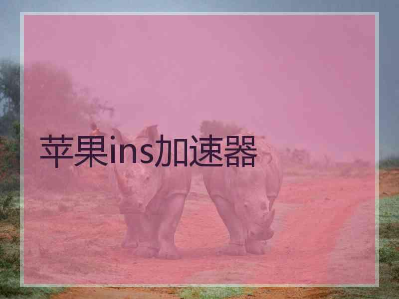 苹果ins加速器