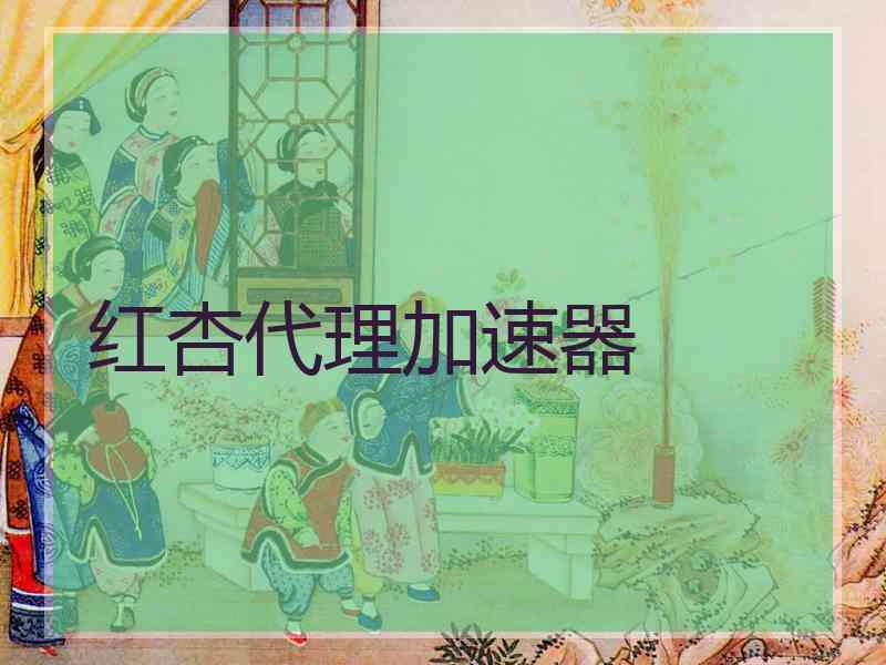 红杏代理加速器