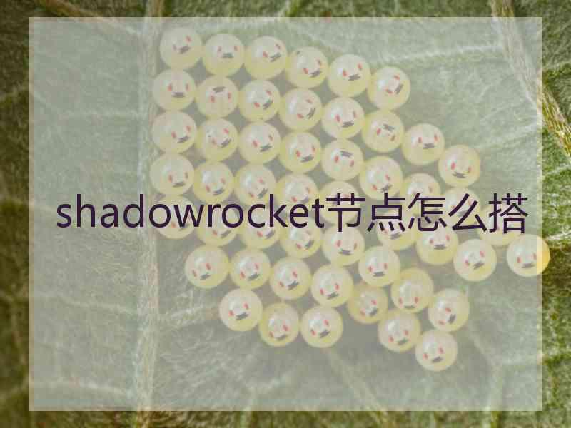 shadowrocket节点怎么搭
