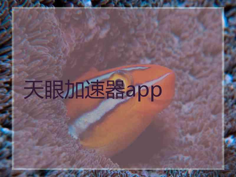 天眼加速器app