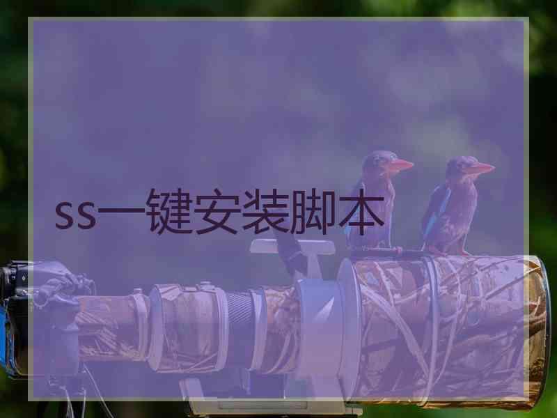 ss一键安装脚本