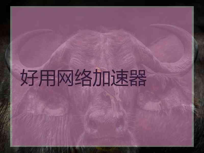 好用网络加速器