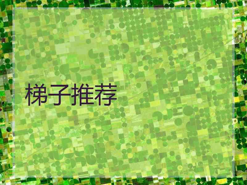 梯子推荐