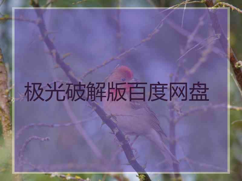 极光破解版百度网盘