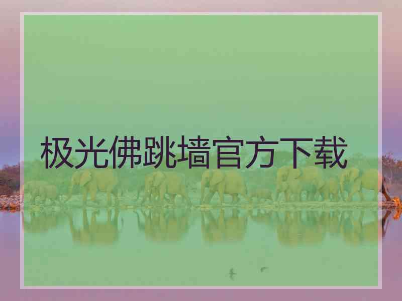 极光佛跳墙官方下载