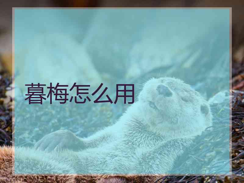 暮梅怎么用