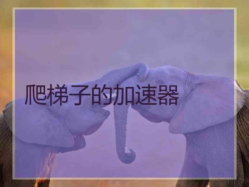 爬梯子的加速器