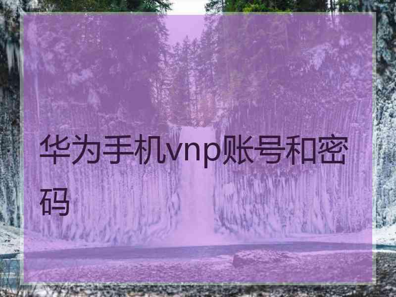 华为手机vnp账号和密码
