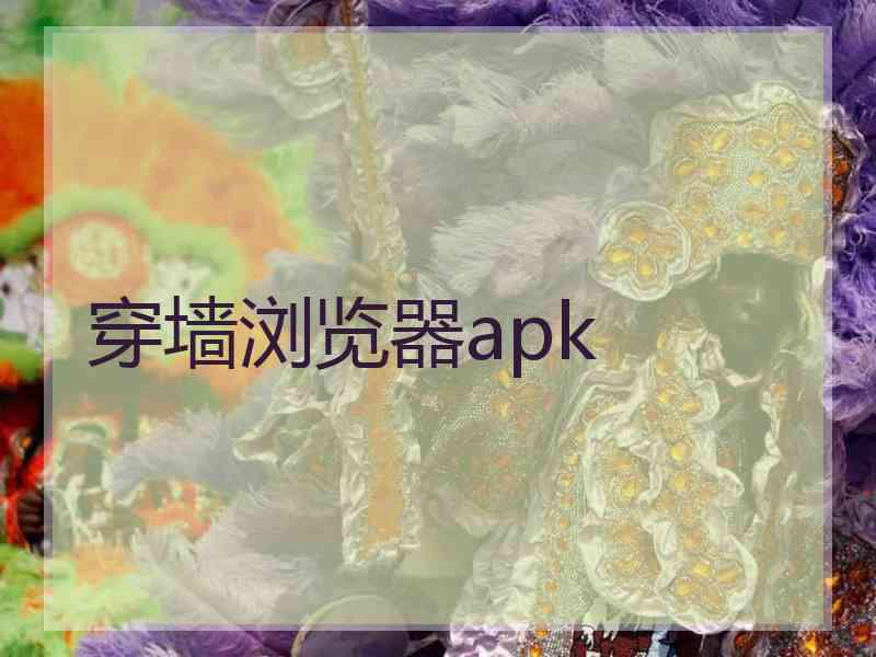 穿墙浏览器apk