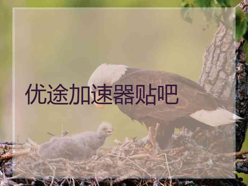 优途加速器贴吧