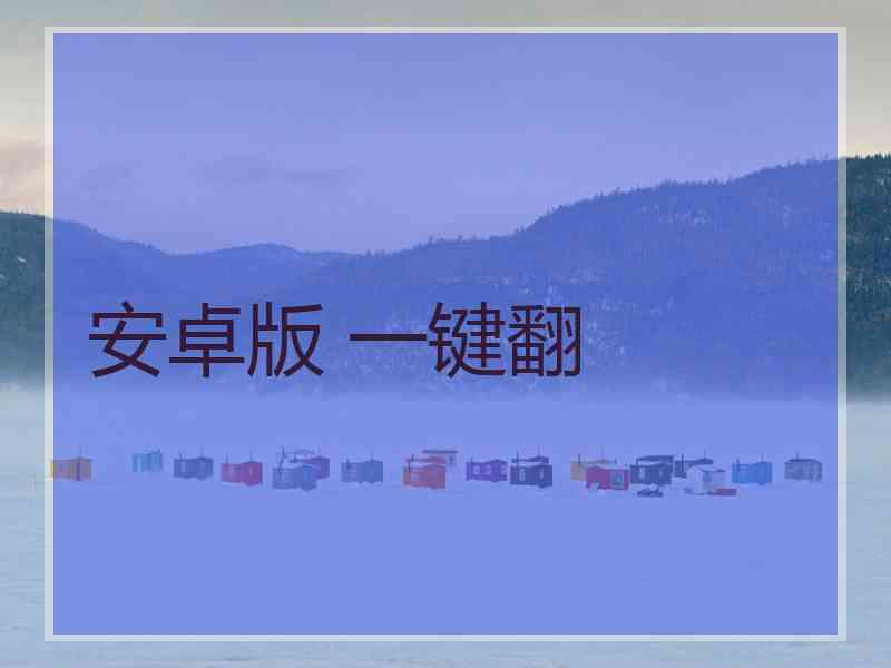安卓版 一键翻