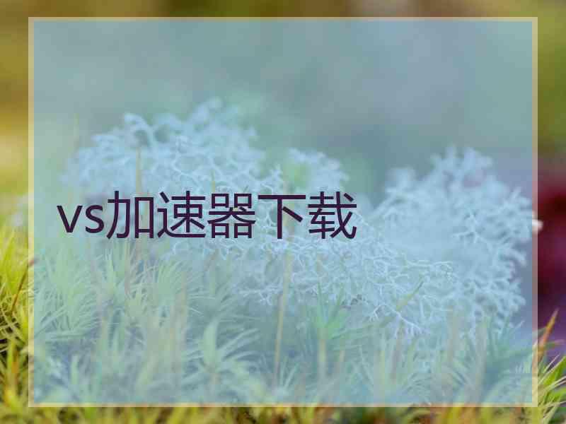 vs加速器下载
