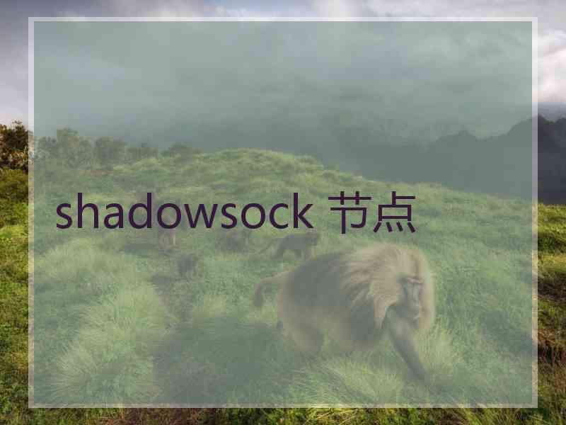 shadowsock 节点