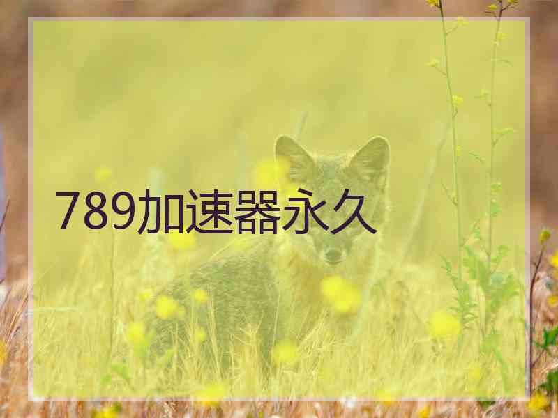 789加速器永久