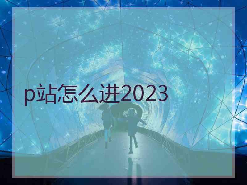 p站怎么进2023