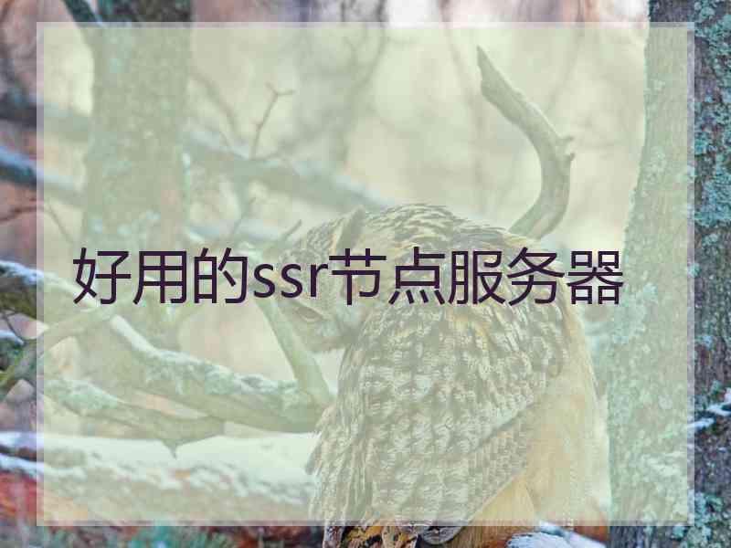 好用的ssr节点服务器