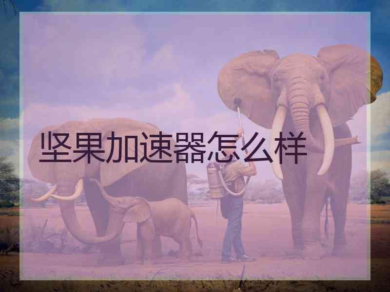 坚果加速器怎么样