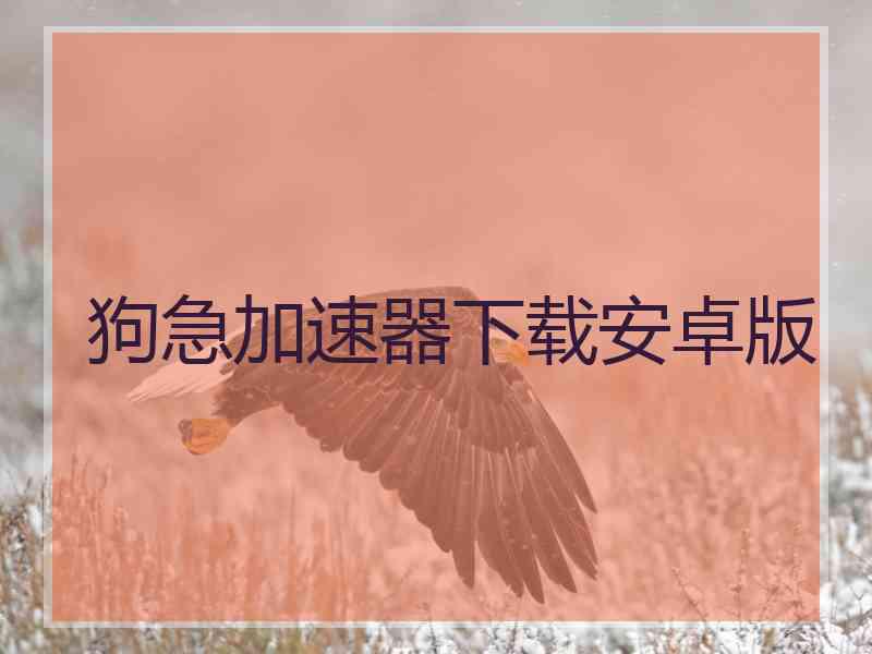 狗急加速器下载安卓版