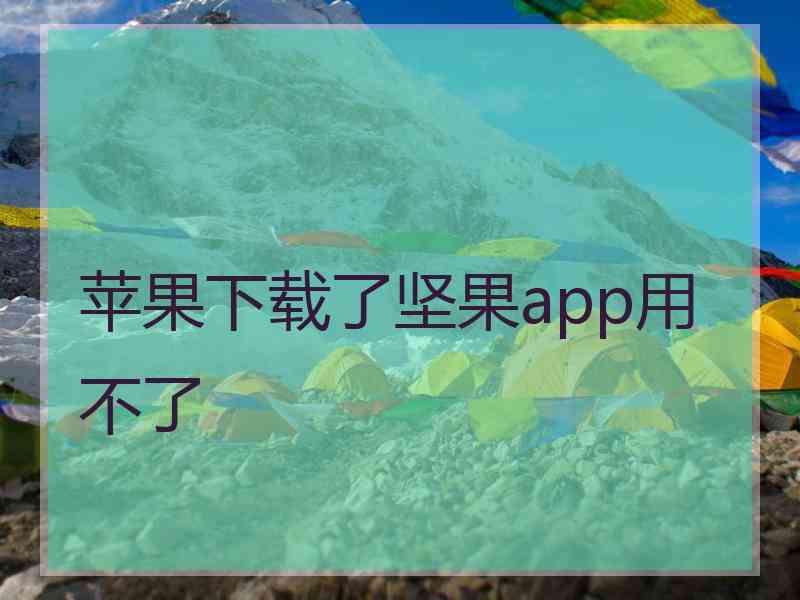 苹果下载了坚果app用不了