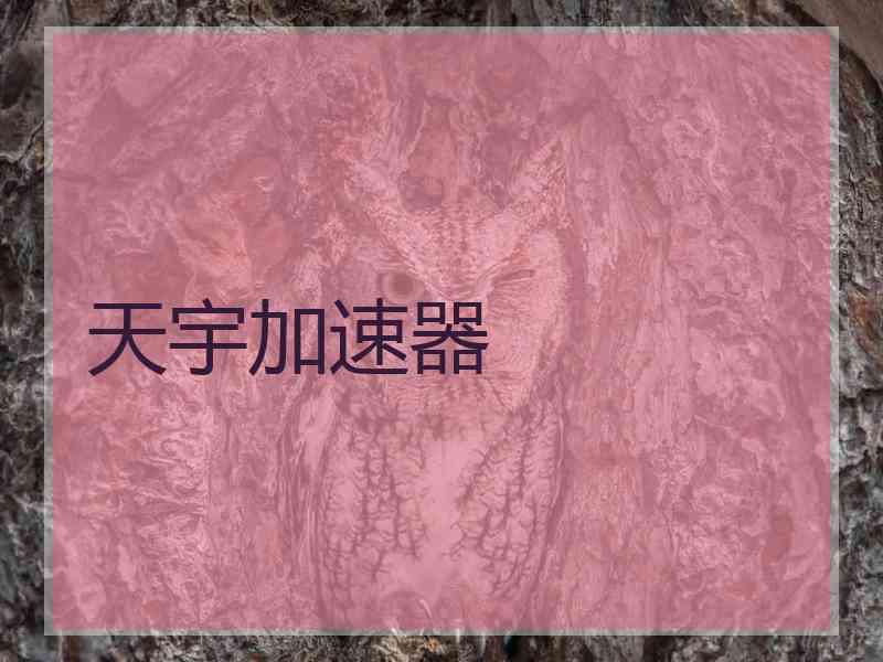 天宇加速器