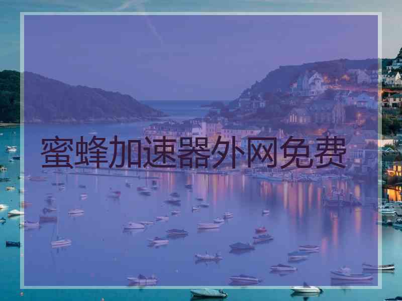 蜜蜂加速器外网免费