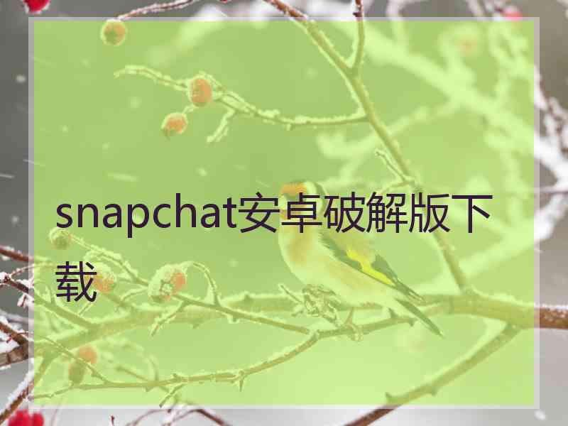 snapchat安卓破解版下载