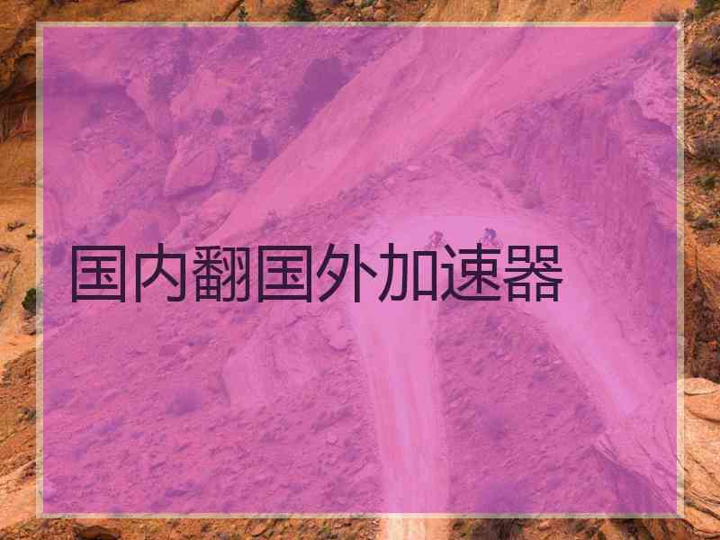 国内翻国外加速器