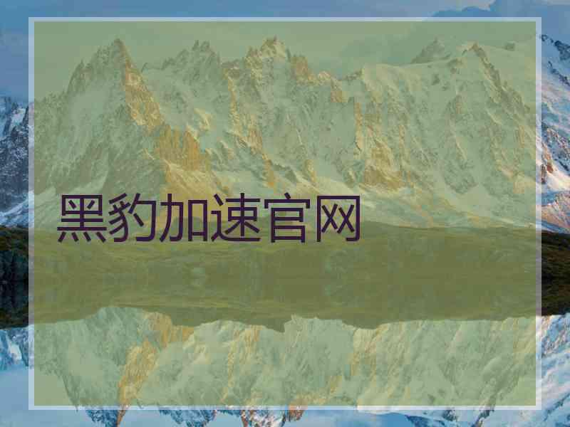 黑豹加速官网