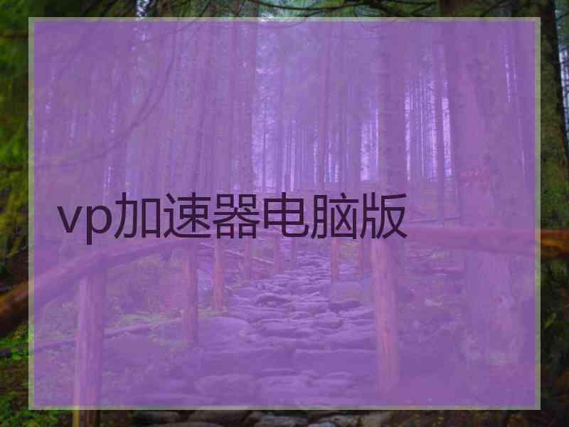 vp加速器电脑版