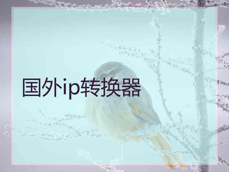 国外ip转换器
