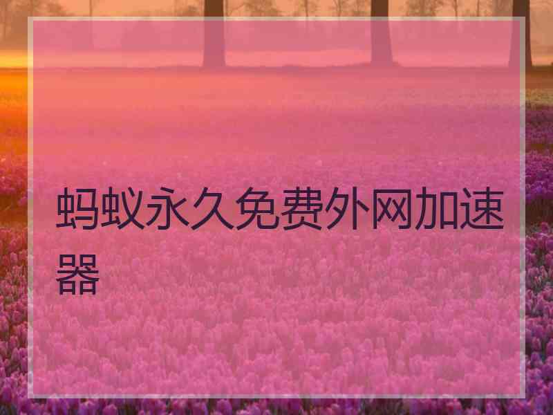 蚂蚁永久免费外网加速器