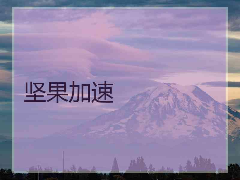 坚果加速