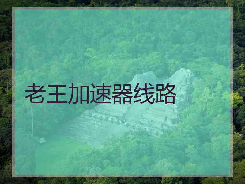 老王加速器线路