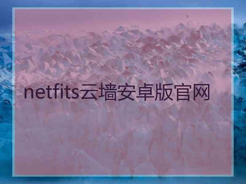 netfits云墙安卓版官网