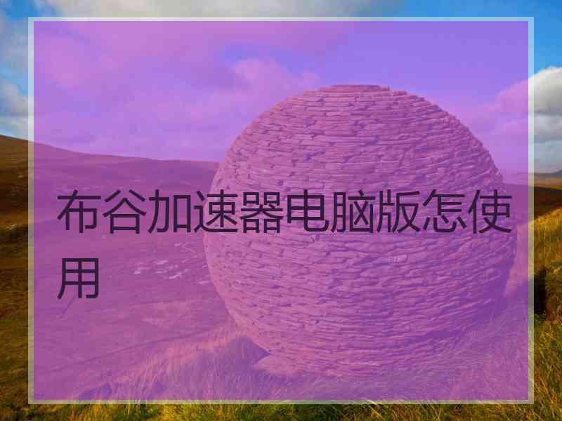 布谷加速器电脑版怎使用