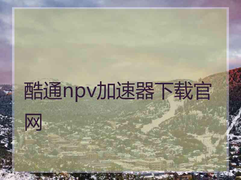 酷通npv加速器下载官网
