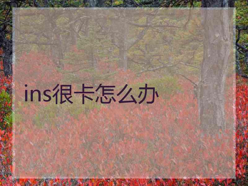 ins很卡怎么办