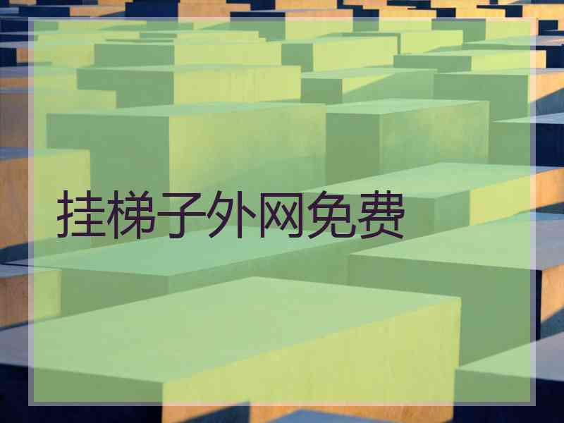 挂梯子外网免费