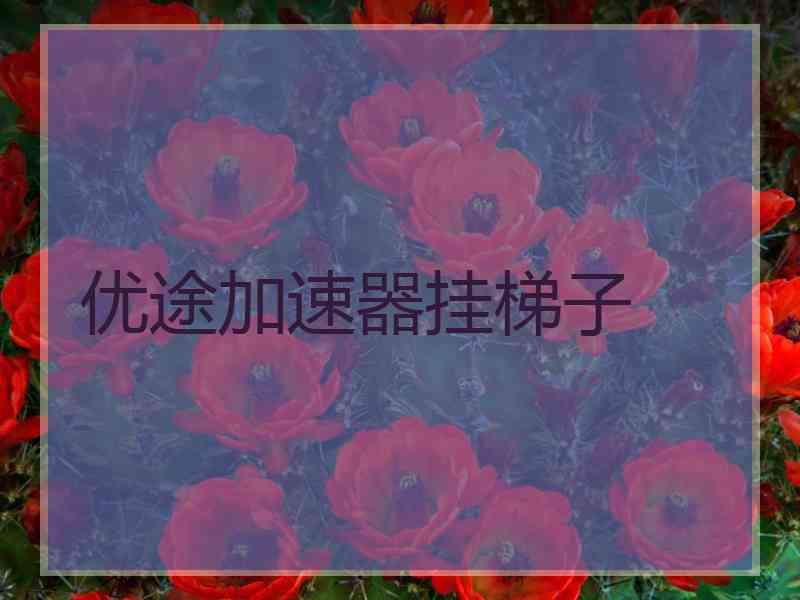 优途加速器挂梯子