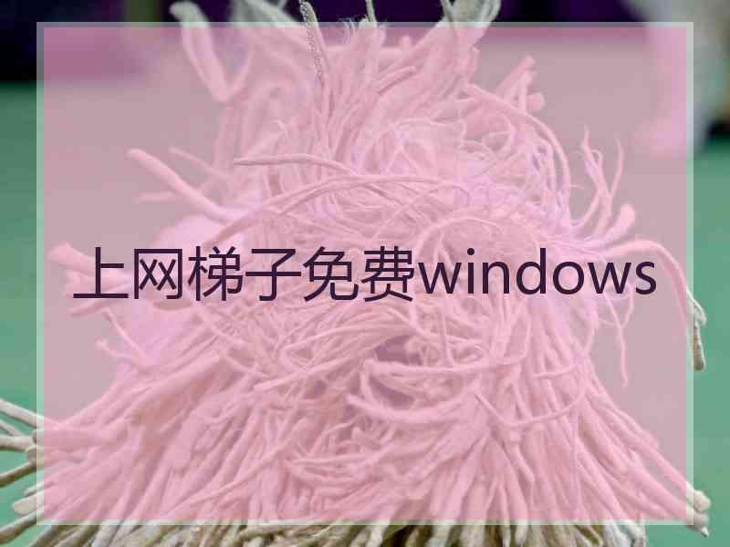 上网梯子免费windows