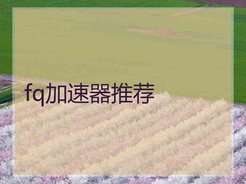 fq加速器推荐
