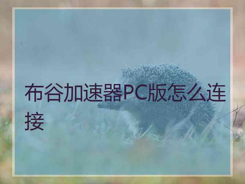 布谷加速器PC版怎么连接