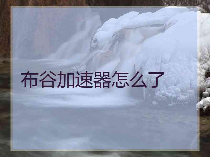 布谷加速器怎么了