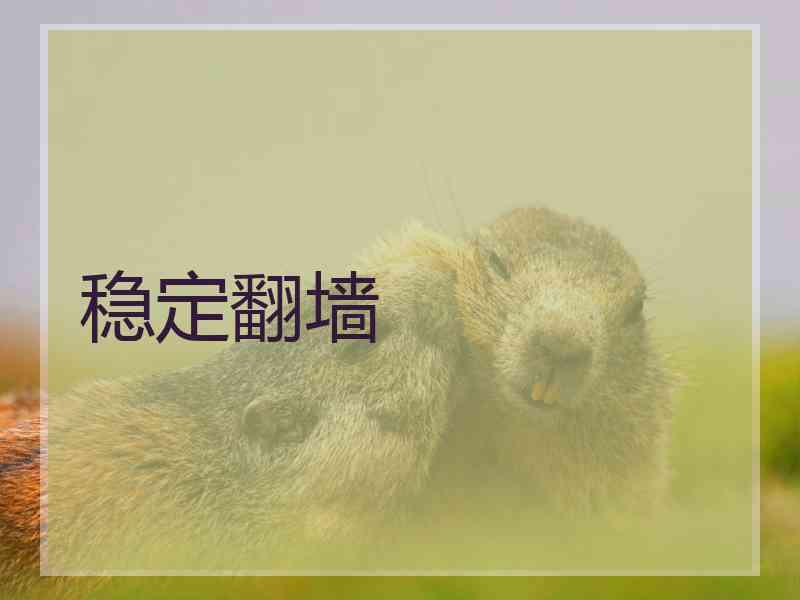 稳定翻墙