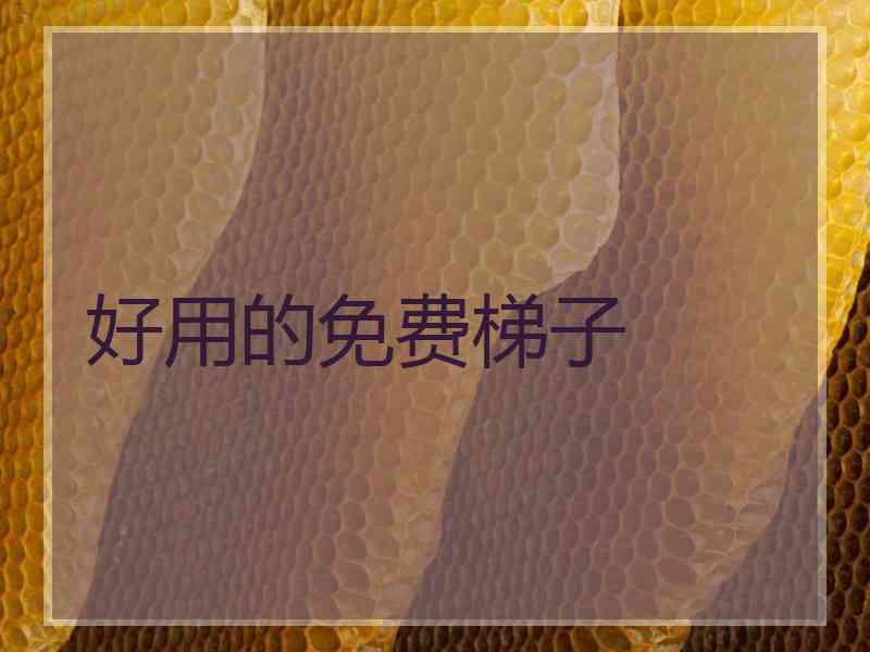 好用的免费梯子