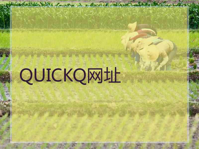 QUICKQ网址